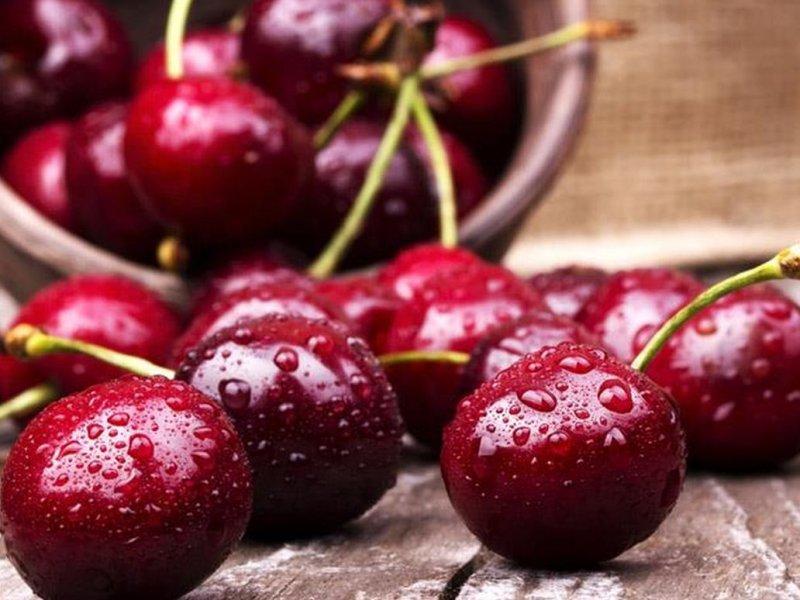 Вишня купить саженцы из питомника в Прокопьевске